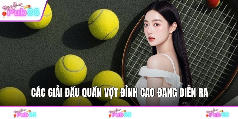 Các giải đấu quần vợt đỉnh cao đang diễn ra