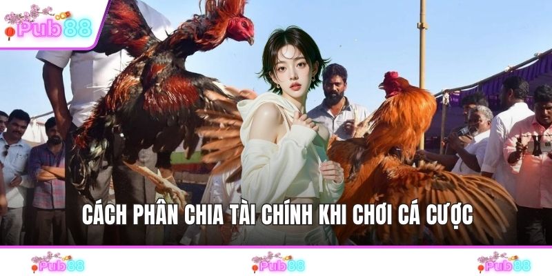 Cách phân chia tài chính khi chơi cá cược