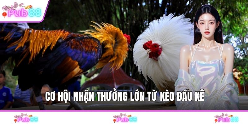 Cơ hội nhận thưởng lớn từ kèo đấu kê