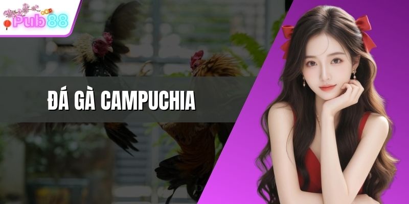 Đá gà Campuchia