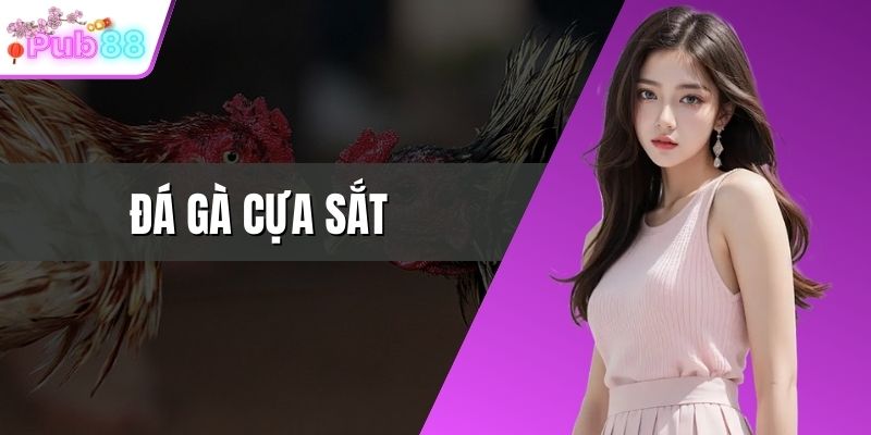 Đá gà cựa sắt