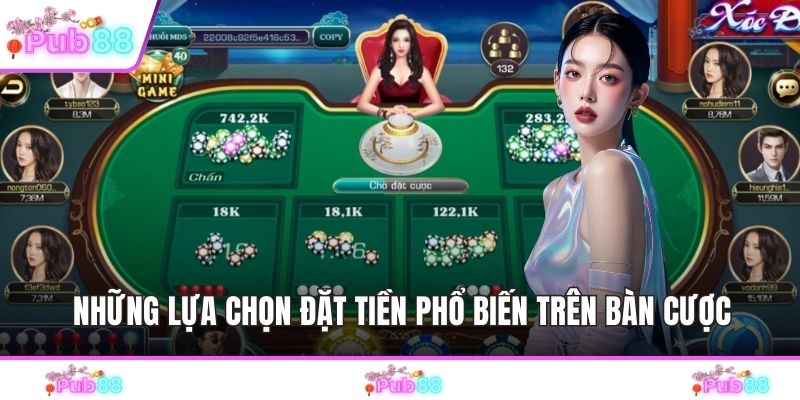 Những lựa chọn đặt tiền phổ biến trên bàn cược
