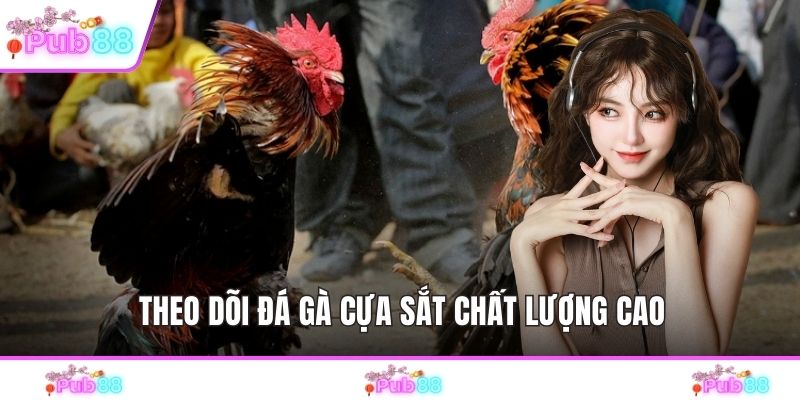 Theo dõi đá gà cựa sắt chất lượng cao