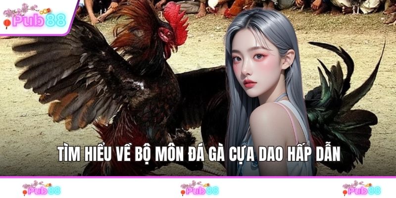 Tìm hiểu về bộ môn đá gà cựa dao hấp dẫn
