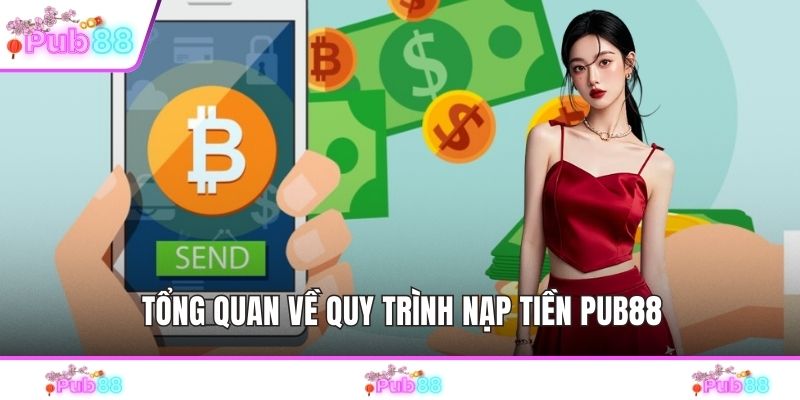 Tổng quan về quy trình nạp tiền PUB88